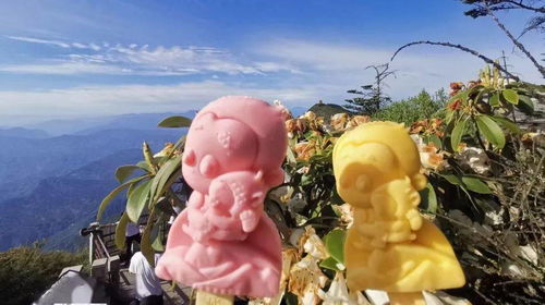 只在峨眉山才能吃到的快樂，被游客寵上了天的“萌貝樹”