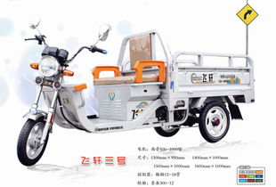 飛軒電動(dòng)車(chē)產(chǎn)品 產(chǎn)品圖片 加盟店怎么樣