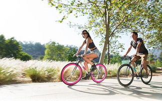 智利工程師創(chuàng)造世界首輛自鎖結構防盜自行車