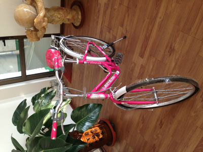 【天津市濮琪自行車】價格,廠家,圖片,自行車,天津市濮琪自行車-