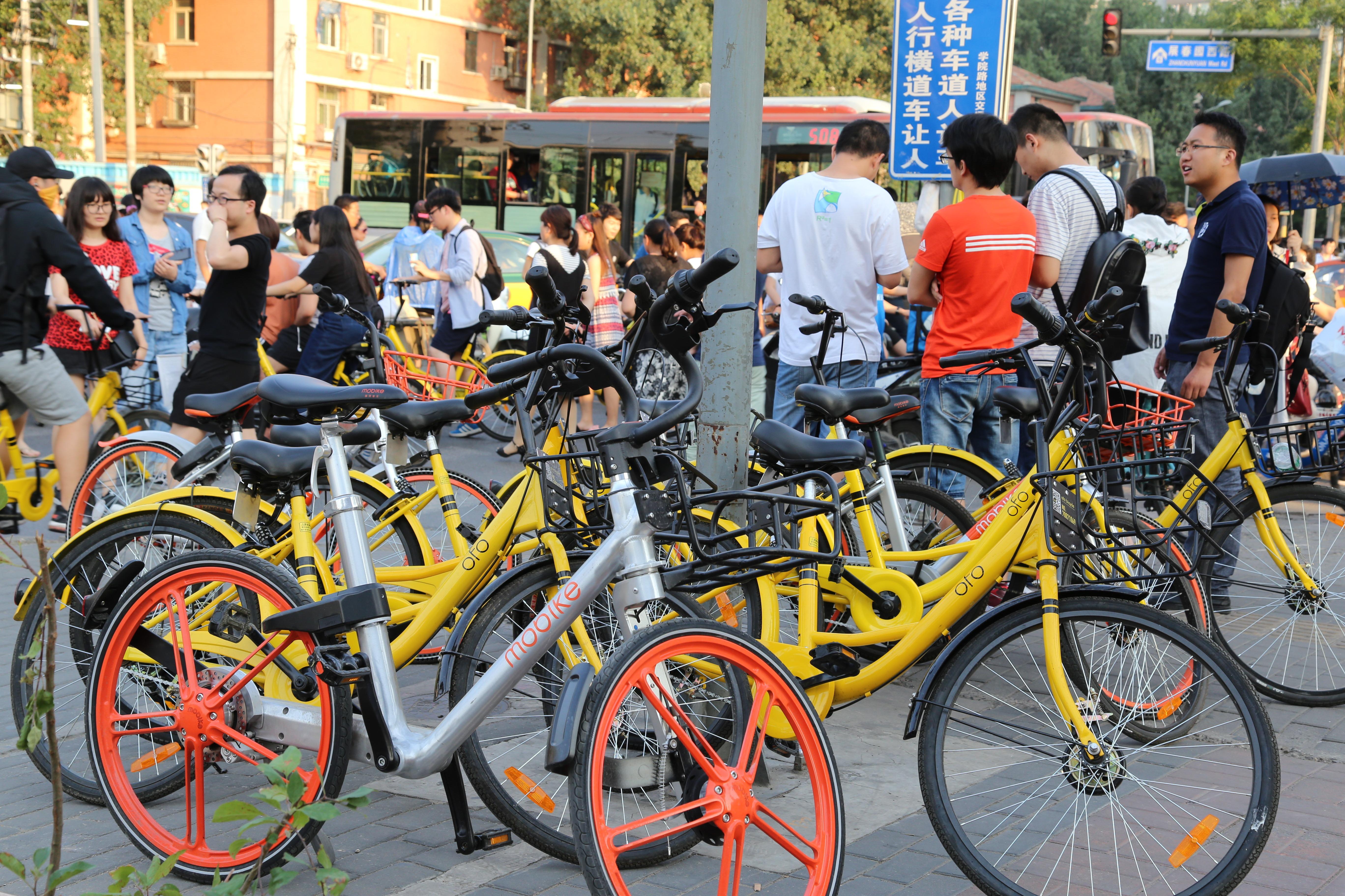 城市里的"搬運工":共享單車調(diào)度員